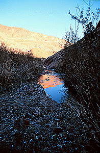 ut-rap2.gif (45247 bytes)