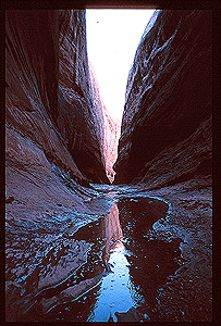 ut-slot1.gif (53205 bytes)