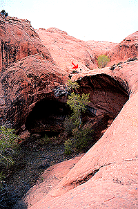 ut-tiny.gif (49585 bytes)