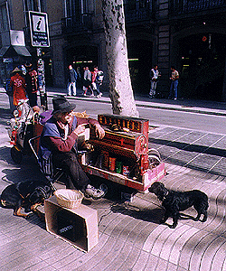musicbum.gif (66703 bytes)