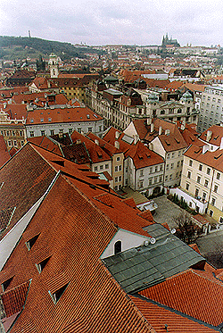 rooftops.gif (90632 bytes)