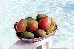 mangobowl.gif (24587 bytes)