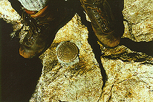 boots.GIF (63887 bytes)