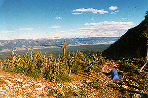 camp.gif (54509 bytes)