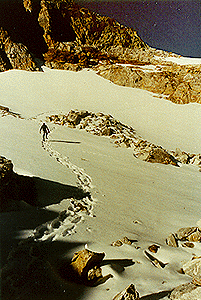snofield.gif (57577 bytes)