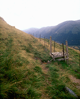 ir-fence.gif (69419 bytes)