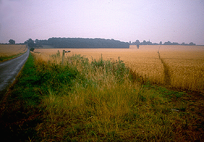 ir-path.gif (88681 bytes)