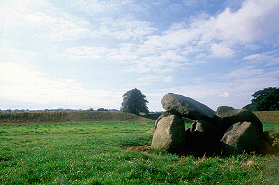 ir-ring1.gif (77269 bytes)